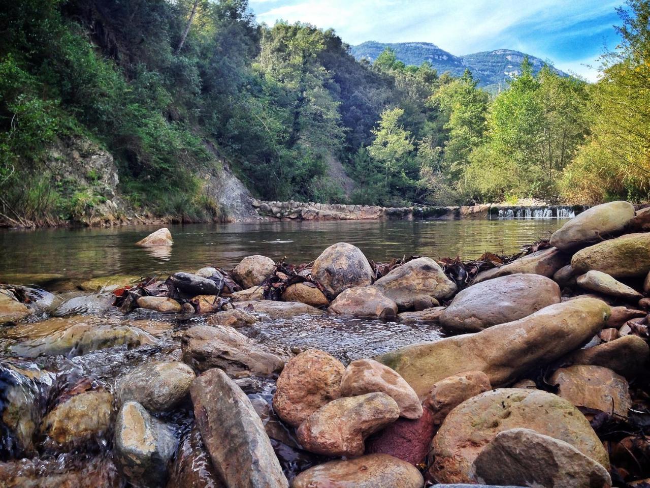 Camping Bassegoda Park Otel Albanya Dış mekan fotoğraf