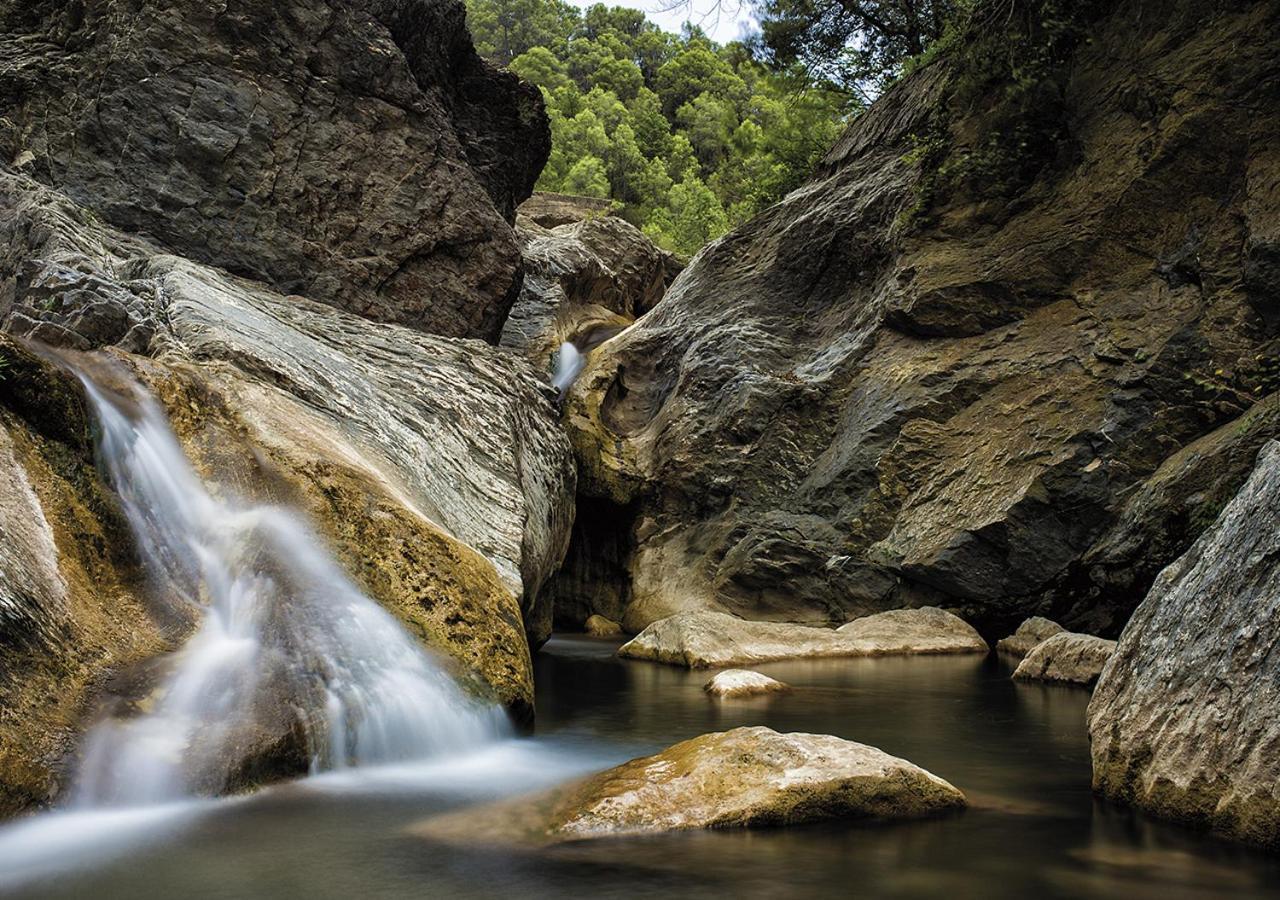 Camping Bassegoda Park Otel Albanya Dış mekan fotoğraf